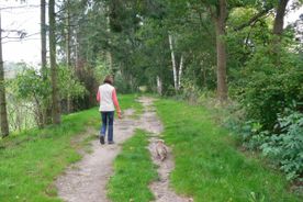 Der Campingplatz