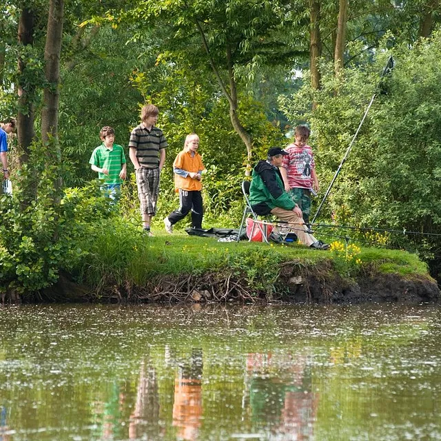Entdecken Sie die vielfältigen Freizeitmöglichkeiten am Ludwigsee